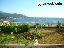 [P03] mini gradina din fata balconului camerei » foto by teona
 - 
<span class="allrVoted glyphicon glyphicon-heart hidden" id="av181189"></span>
<a class="m-l-10 hidden" id="sv181189" onclick="voting_Foto_DelVot(,181189,116)" role="button">șterge vot <span class="glyphicon glyphicon-remove"></span></a>
<a id="v9181189" class=" c-red"  onclick="voting_Foto_SetVot(181189)" role="button"><span class="glyphicon glyphicon-heart-empty"></span> <b>LIKE</b> = Votează poza</a> <img class="hidden"  id="f181189W9" src="/imagini/loader.gif" border="0" /><span class="AjErrMes hidden" id="e181189ErM"></span>