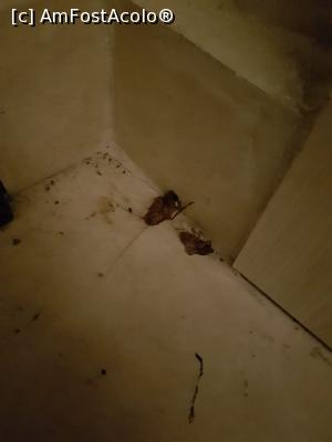 [P11] Groaznic de  neprimitor » foto by lidia_pop
 - 
<span class="allrVoted glyphicon glyphicon-heart hidden" id="av1238478"></span>
<a class="m-l-10 hidden" id="sv1238478" onclick="voting_Foto_DelVot(,1238478,123)" role="button">șterge vot <span class="glyphicon glyphicon-remove"></span></a>
<a id="v91238478" class=" c-red"  onclick="voting_Foto_SetVot(1238478)" role="button"><span class="glyphicon glyphicon-heart-empty"></span> <b>LIKE</b> = Votează poza</a> <img class="hidden"  id="f1238478W9" src="/imagini/loader.gif" border="0" /><span class="AjErrMes hidden" id="e1238478ErM"></span>