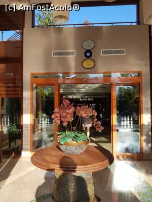 [P03] Intrarea in hotel » foto by lidia_pop
 - 
<span class="allrVoted glyphicon glyphicon-heart hidden" id="av1238463"></span>
<a class="m-l-10 hidden" id="sv1238463" onclick="voting_Foto_DelVot(,1238463,123)" role="button">șterge vot <span class="glyphicon glyphicon-remove"></span></a>
<a id="v91238463" class=" c-red"  onclick="voting_Foto_SetVot(1238463)" role="button"><span class="glyphicon glyphicon-heart-empty"></span> <b>LIKE</b> = Votează poza</a> <img class="hidden"  id="f1238463W9" src="/imagini/loader.gif" border="0" /><span class="AjErrMes hidden" id="e1238463ErM"></span>
