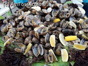 [P13] Scoici gatite, cu lamaie si salata la cina » foto by Scorpions
 - 
<span class="allrVoted glyphicon glyphicon-heart hidden" id="av1114433"></span>
<a class="m-l-10 hidden" id="sv1114433" onclick="voting_Foto_DelVot(,1114433,130)" role="button">șterge vot <span class="glyphicon glyphicon-remove"></span></a>
<a id="v91114433" class=" c-red"  onclick="voting_Foto_SetVot(1114433)" role="button"><span class="glyphicon glyphicon-heart-empty"></span> <b>LIKE</b> = Votează poza</a> <img class="hidden"  id="f1114433W9" src="/imagini/loader.gif" border="0" /><span class="AjErrMes hidden" id="e1114433ErM"></span>
