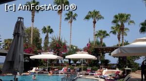 [P16] Piscinele cu palmierii " snur" si o parte din terasa in fundal » foto by Scorpions
 - 
<span class="allrVoted glyphicon glyphicon-heart hidden" id="av1114436"></span>
<a class="m-l-10 hidden" id="sv1114436" onclick="voting_Foto_DelVot(,1114436,130)" role="button">șterge vot <span class="glyphicon glyphicon-remove"></span></a>
<a id="v91114436" class=" c-red"  onclick="voting_Foto_SetVot(1114436)" role="button"><span class="glyphicon glyphicon-heart-empty"></span> <b>LIKE</b> = Votează poza</a> <img class="hidden"  id="f1114436W9" src="/imagini/loader.gif" border="0" /><span class="AjErrMes hidden" id="e1114436ErM"></span>