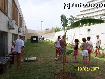 [P16] alte activitati » foto by calingolea
 - 
<span class="allrVoted glyphicon glyphicon-heart hidden" id="av272"></span>
<a class="m-l-10 hidden" id="sv272" onclick="voting_Foto_DelVot(,272,14)" role="button">șterge vot <span class="glyphicon glyphicon-remove"></span></a>
<a id="v9272" class=" c-red"  onclick="voting_Foto_SetVot(272)" role="button"><span class="glyphicon glyphicon-heart-empty"></span> <b>LIKE</b> = Votează poza</a> <img class="hidden"  id="f272W9" src="/imagini/loader.gif" border="0" /><span class="AjErrMes hidden" id="e272ErM"></span>
