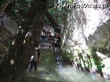 [P26] Frumos, nu ? » foto by balasa violeta
 - 
<span class="allrVoted glyphicon glyphicon-heart hidden" id="av88136"></span>
<a class="m-l-10 hidden" id="sv88136" onclick="voting_Foto_DelVot(,88136,14)" role="button">șterge vot <span class="glyphicon glyphicon-remove"></span></a>
<a id="v988136" class=" c-red"  onclick="voting_Foto_SetVot(88136)" role="button"><span class="glyphicon glyphicon-heart-empty"></span> <b>LIKE</b> = Votează poza</a> <img class="hidden"  id="f88136W9" src="/imagini/loader.gif" border="0" /><span class="AjErrMes hidden" id="e88136ErM"></span>