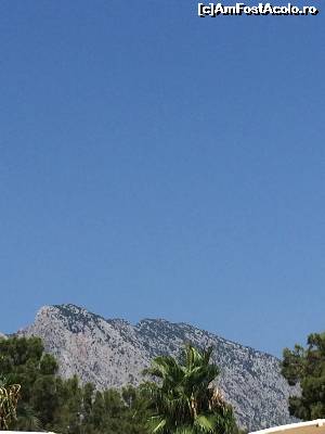 [P14]  -- <small>// FĂRĂ DESCRIERE</small> » foto by tm-tc
 - 
<span class="allrVoted glyphicon glyphicon-heart hidden" id="av660203"></span>
<a class="m-l-10 hidden" id="sv660203" onclick="voting_Foto_DelVot(,660203,143)" role="button">șterge vot <span class="glyphicon glyphicon-remove"></span></a>
<a id="v9660203" class=" c-red"  onclick="voting_Foto_SetVot(660203)" role="button"><span class="glyphicon glyphicon-heart-empty"></span> <b>LIKE</b> = Votează poza</a> <img class="hidden"  id="f660203W9" src="/imagini/loader.gif" border="0" /><span class="AjErrMes hidden" id="e660203ErM"></span>