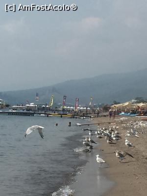 [P15] Plimbare pe malul marii » foto by alicera2001
 - 
<span class="allrVoted glyphicon glyphicon-heart hidden" id="av1133653"></span>
<a class="m-l-10 hidden" id="sv1133653" onclick="voting_Foto_DelVot(,1133653,143)" role="button">șterge vot <span class="glyphicon glyphicon-remove"></span></a>
<a id="v91133653" class=" c-red"  onclick="voting_Foto_SetVot(1133653)" role="button"><span class="glyphicon glyphicon-heart-empty"></span> <b>LIKE</b> = Votează poza</a> <img class="hidden"  id="f1133653W9" src="/imagini/loader.gif" border="0" /><span class="AjErrMes hidden" id="e1133653ErM"></span>