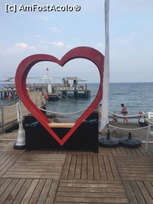 [P18]  -- <small>// FĂRĂ DESCRIERE</small> » foto by alicera2001
 - 
<span class="allrVoted glyphicon glyphicon-heart hidden" id="av1133656"></span>
<a class="m-l-10 hidden" id="sv1133656" onclick="voting_Foto_DelVot(,1133656,143)" role="button">șterge vot <span class="glyphicon glyphicon-remove"></span></a>
<a id="v91133656" class=" c-red"  onclick="voting_Foto_SetVot(1133656)" role="button"><span class="glyphicon glyphicon-heart-empty"></span> <b>LIKE</b> = Votează poza</a> <img class="hidden"  id="f1133656W9" src="/imagini/loader.gif" border="0" /><span class="AjErrMes hidden" id="e1133656ErM"></span>