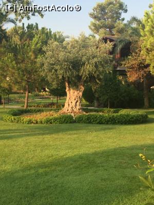 [P25]  -- <small>// FĂRĂ DESCRIERE</small> » foto by alicera2001
 - 
<span class="allrVoted glyphicon glyphicon-heart hidden" id="av1133663"></span>
<a class="m-l-10 hidden" id="sv1133663" onclick="voting_Foto_DelVot(,1133663,143)" role="button">șterge vot <span class="glyphicon glyphicon-remove"></span></a>
<a id="v91133663" class=" c-red"  onclick="voting_Foto_SetVot(1133663)" role="button"><span class="glyphicon glyphicon-heart-empty"></span> <b>LIKE</b> = Votează poza</a> <img class="hidden"  id="f1133663W9" src="/imagini/loader.gif" border="0" /><span class="AjErrMes hidden" id="e1133663ErM"></span>