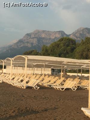 [P26]  -- <small>// FĂRĂ DESCRIERE</small> » foto by alicera2001
 - 
<span class="allrVoted glyphicon glyphicon-heart hidden" id="av1133664"></span>
<a class="m-l-10 hidden" id="sv1133664" onclick="voting_Foto_DelVot(,1133664,143)" role="button">șterge vot <span class="glyphicon glyphicon-remove"></span></a>
<a id="v91133664" class=" c-red"  onclick="voting_Foto_SetVot(1133664)" role="button"><span class="glyphicon glyphicon-heart-empty"></span> <b>LIKE</b> = Votează poza</a> <img class="hidden"  id="f1133664W9" src="/imagini/loader.gif" border="0" /><span class="AjErrMes hidden" id="e1133664ErM"></span>