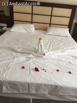 [P27]  -- <small>// FĂRĂ DESCRIERE</small> » foto by alicera2001
 - 
<span class="allrVoted glyphicon glyphicon-heart hidden" id="av1133665"></span>
<a class="m-l-10 hidden" id="sv1133665" onclick="voting_Foto_DelVot(,1133665,143)" role="button">șterge vot <span class="glyphicon glyphicon-remove"></span></a>
<a id="v91133665" class=" c-red"  onclick="voting_Foto_SetVot(1133665)" role="button"><span class="glyphicon glyphicon-heart-empty"></span> <b>LIKE</b> = Votează poza</a> <img class="hidden"  id="f1133665W9" src="/imagini/loader.gif" border="0" /><span class="AjErrMes hidden" id="e1133665ErM"></span>