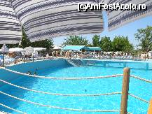 [P06] PISCINA CEA MARE » foto by Valentina69
 - 
<span class="allrVoted glyphicon glyphicon-heart hidden" id="av29669"></span>
<a class="m-l-10 hidden" id="sv29669" onclick="voting_Foto_DelVot(,29669,153)" role="button">șterge vot <span class="glyphicon glyphicon-remove"></span></a>
<a id="v929669" class=" c-red"  onclick="voting_Foto_SetVot(29669)" role="button"><span class="glyphicon glyphicon-heart-empty"></span> <b>LIKE</b> = Votează poza</a> <img class="hidden"  id="f29669W9" src="/imagini/loader.gif" border="0" /><span class="AjErrMes hidden" id="e29669ErM"></span>