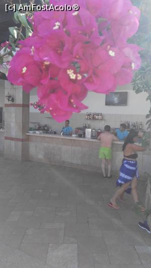 [P12] Barul la piscină » foto by reghinaflo
 - 
<span class="allrVoted glyphicon glyphicon-heart hidden" id="av899619"></span>
<a class="m-l-10 hidden" id="sv899619" onclick="voting_Foto_DelVot(,899619,16)" role="button">șterge vot <span class="glyphicon glyphicon-remove"></span></a>
<a id="v9899619" class=" c-red"  onclick="voting_Foto_SetVot(899619)" role="button"><span class="glyphicon glyphicon-heart-empty"></span> <b>LIKE</b> = Votează poza</a> <img class="hidden"  id="f899619W9" src="/imagini/loader.gif" border="0" /><span class="AjErrMes hidden" id="e899619ErM"></span>