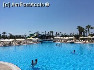 [P27] Miracle - la piscina.  » foto by RossoNerro
 - 
<span class="allrVoted glyphicon glyphicon-heart hidden" id="av883489"></span>
<a class="m-l-10 hidden" id="sv883489" onclick="voting_Foto_DelVot(,883489,16)" role="button">șterge vot <span class="glyphicon glyphicon-remove"></span></a>
<a id="v9883489" class=" c-red"  onclick="voting_Foto_SetVot(883489)" role="button"><span class="glyphicon glyphicon-heart-empty"></span> <b>LIKE</b> = Votează poza</a> <img class="hidden"  id="f883489W9" src="/imagini/loader.gif" border="0" /><span class="AjErrMes hidden" id="e883489ErM"></span>
