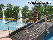[P12] GRADINA....DINTRE PISCINA SI MARE » foto by ghecamelia
 - 
<span class="allrVoted glyphicon glyphicon-heart hidden" id="av22410"></span>
<a class="m-l-10 hidden" id="sv22410" onclick="voting_Foto_DelVot(,22410,16)" role="button">șterge vot <span class="glyphicon glyphicon-remove"></span></a>
<a id="v922410" class=" c-red"  onclick="voting_Foto_SetVot(22410)" role="button"><span class="glyphicon glyphicon-heart-empty"></span> <b>LIKE</b> = Votează poza</a> <img class="hidden"  id="f22410W9" src="/imagini/loader.gif" border="0" /><span class="AjErrMes hidden" id="e22410ErM"></span>