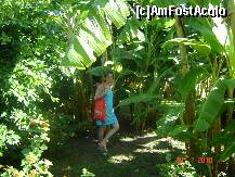 [P13] in gradina luxurianta... parca erai in jungla :)) » foto by geany_m
 - 
<span class="allrVoted glyphicon glyphicon-heart hidden" id="av124199"></span>
<a class="m-l-10 hidden" id="sv124199" onclick="voting_Foto_DelVot(,124199,16)" role="button">șterge vot <span class="glyphicon glyphicon-remove"></span></a>
<a id="v9124199" class=" c-red"  onclick="voting_Foto_SetVot(124199)" role="button"><span class="glyphicon glyphicon-heart-empty"></span> <b>LIKE</b> = Votează poza</a> <img class="hidden"  id="f124199W9" src="/imagini/loader.gif" border="0" /><span class="AjErrMes hidden" id="e124199ErM"></span>