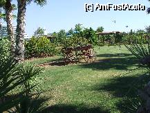 [P13] gradina hotelului - cum am spus minunata » foto by adrianag*
 - 
<span class="allrVoted glyphicon glyphicon-heart hidden" id="av73592"></span>
<a class="m-l-10 hidden" id="sv73592" onclick="voting_Foto_DelVot(,73592,16)" role="button">șterge vot <span class="glyphicon glyphicon-remove"></span></a>
<a id="v973592" class=" c-red"  onclick="voting_Foto_SetVot(73592)" role="button"><span class="glyphicon glyphicon-heart-empty"></span> <b>LIKE</b> = Votează poza</a> <img class="hidden"  id="f73592W9" src="/imagini/loader.gif" border="0" /><span class="AjErrMes hidden" id="e73592ErM"></span>