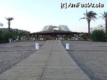 [P21] aleea de la hotel spre plaja » foto by adrianag*
 - 
<span class="allrVoted glyphicon glyphicon-heart hidden" id="av73601"></span>
<a class="m-l-10 hidden" id="sv73601" onclick="voting_Foto_DelVot(,73601,16)" role="button">șterge vot <span class="glyphicon glyphicon-remove"></span></a>
<a id="v973601" class=" c-red"  onclick="voting_Foto_SetVot(73601)" role="button"><span class="glyphicon glyphicon-heart-empty"></span> <b>LIKE</b> = Votează poza</a> <img class="hidden"  id="f73601W9" src="/imagini/loader.gif" border="0" /><span class="AjErrMes hidden" id="e73601ErM"></span>