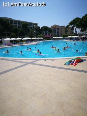 [P04] animatie la piscina » foto by aurel34
 - 
<span class="allrVoted glyphicon glyphicon-heart hidden" id="av986426"></span>
<a class="m-l-10 hidden" id="sv986426" onclick="voting_Foto_DelVot(,986426,166)" role="button">șterge vot <span class="glyphicon glyphicon-remove"></span></a>
<a id="v9986426" class=" c-red"  onclick="voting_Foto_SetVot(986426)" role="button"><span class="glyphicon glyphicon-heart-empty"></span> <b>LIKE</b> = Votează poza</a> <img class="hidden"  id="f986426W9" src="/imagini/loader.gif" border="0" /><span class="AjErrMes hidden" id="e986426ErM"></span>