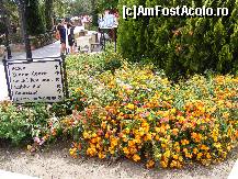 [P02]  -- <small>// FĂRĂ DESCRIERE</small> » foto by radu123
 - 
<span class="allrVoted glyphicon glyphicon-heart hidden" id="av58979"></span>
<a class="m-l-10 hidden" id="sv58979" onclick="voting_Foto_DelVot(,58979,168)" role="button">șterge vot <span class="glyphicon glyphicon-remove"></span></a>
<a id="v958979" class=" c-red"  onclick="voting_Foto_SetVot(58979)" role="button"><span class="glyphicon glyphicon-heart-empty"></span> <b>LIKE</b> = Votează poza</a> <img class="hidden"  id="f58979W9" src="/imagini/loader.gif" border="0" /><span class="AjErrMes hidden" id="e58979ErM"></span>