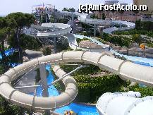 [P08]  -- <small>// FĂRĂ DESCRIERE</small> » foto by radu123
 - 
<span class="allrVoted glyphicon glyphicon-heart hidden" id="av58985"></span>
<a class="m-l-10 hidden" id="sv58985" onclick="voting_Foto_DelVot(,58985,168)" role="button">șterge vot <span class="glyphicon glyphicon-remove"></span></a>
<a id="v958985" class=" c-red"  onclick="voting_Foto_SetVot(58985)" role="button"><span class="glyphicon glyphicon-heart-empty"></span> <b>LIKE</b> = Votează poza</a> <img class="hidden"  id="f58985W9" src="/imagini/loader.gif" border="0" /><span class="AjErrMes hidden" id="e58985ErM"></span>