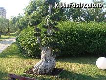 [P21]  -- <small>// FĂRĂ DESCRIERE</small> » foto by dimalexia
 - 
<span class="allrVoted glyphicon glyphicon-heart hidden" id="av94806"></span>
<a class="m-l-10 hidden" id="sv94806" onclick="voting_Foto_DelVot(,94806,171)" role="button">șterge vot <span class="glyphicon glyphicon-remove"></span></a>
<a id="v994806" class=" c-red"  onclick="voting_Foto_SetVot(94806)" role="button"><span class="glyphicon glyphicon-heart-empty"></span> <b>LIKE</b> = Votează poza</a> <img class="hidden"  id="f94806W9" src="/imagini/loader.gif" border="0" /><span class="AjErrMes hidden" id="e94806ErM"></span>