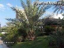 [P26]  -- <small>// FĂRĂ DESCRIERE</small> » foto by dimalexia
 - 
<span class="allrVoted glyphicon glyphicon-heart hidden" id="av94811"></span>
<a class="m-l-10 hidden" id="sv94811" onclick="voting_Foto_DelVot(,94811,171)" role="button">șterge vot <span class="glyphicon glyphicon-remove"></span></a>
<a id="v994811" class=" c-red"  onclick="voting_Foto_SetVot(94811)" role="button"><span class="glyphicon glyphicon-heart-empty"></span> <b>LIKE</b> = Votează poza</a> <img class="hidden"  id="f94811W9" src="/imagini/loader.gif" border="0" /><span class="AjErrMes hidden" id="e94811ErM"></span>