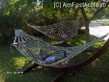 [P41]  -- <small>// FĂRĂ DESCRIERE</small> » foto by dimalexia
 - 
<span class="allrVoted glyphicon glyphicon-heart hidden" id="av94909"></span>
<a class="m-l-10 hidden" id="sv94909" onclick="voting_Foto_DelVot(,94909,171)" role="button">șterge vot <span class="glyphicon glyphicon-remove"></span></a>
<a id="v994909" class=" c-red"  onclick="voting_Foto_SetVot(94909)" role="button"><span class="glyphicon glyphicon-heart-empty"></span> <b>LIKE</b> = Votează poza</a> <img class="hidden"  id="f94909W9" src="/imagini/loader.gif" border="0" /><span class="AjErrMes hidden" id="e94909ErM"></span>
