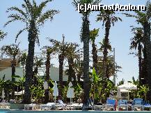 [P07] la piscina » foto by samalex
 - 
<span class="allrVoted glyphicon glyphicon-heart hidden" id="av87648"></span>
<a class="m-l-10 hidden" id="sv87648" onclick="voting_Foto_DelVot(,87648,171)" role="button">șterge vot <span class="glyphicon glyphicon-remove"></span></a>
<a id="v987648" class=" c-red"  onclick="voting_Foto_SetVot(87648)" role="button"><span class="glyphicon glyphicon-heart-empty"></span> <b>LIKE</b> = Votează poza</a> <img class="hidden"  id="f87648W9" src="/imagini/loader.gif" border="0" /><span class="AjErrMes hidden" id="e87648ErM"></span>