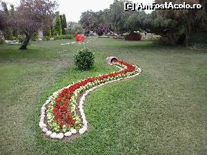 [P23] frumos aranjament floral » foto by elenaadina
 - 
<span class="allrVoted glyphicon glyphicon-heart hidden" id="av519238"></span>
<a class="m-l-10 hidden" id="sv519238" onclick="voting_Foto_DelVot(,519238,175)" role="button">șterge vot <span class="glyphicon glyphicon-remove"></span></a>
<a id="v9519238" class=" c-red"  onclick="voting_Foto_SetVot(519238)" role="button"><span class="glyphicon glyphicon-heart-empty"></span> <b>LIKE</b> = Votează poza</a> <img class="hidden"  id="f519238W9" src="/imagini/loader.gif" border="0" /><span class="AjErrMes hidden" id="e519238ErM"></span>