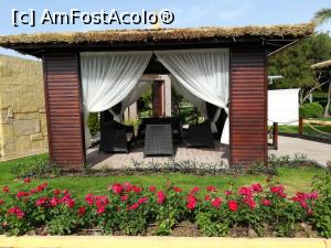 [P26] Delphin Be Grand » foto by Cris
 - 
<span class="allrVoted glyphicon glyphicon-heart hidden" id="av851543"></span>
<a class="m-l-10 hidden" id="sv851543" onclick="voting_Foto_DelVot(,851543,175)" role="button">șterge vot <span class="glyphicon glyphicon-remove"></span></a>
<a id="v9851543" class=" c-red"  onclick="voting_Foto_SetVot(851543)" role="button"><span class="glyphicon glyphicon-heart-empty"></span> <b>LIKE</b> = Votează poza</a> <img class="hidden"  id="f851543W9" src="/imagini/loader.gif" border="0" /><span class="AjErrMes hidden" id="e851543ErM"></span>