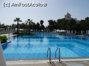 [P28] Delphin Be Grand » foto by Cris
 - 
<span class="allrVoted glyphicon glyphicon-heart hidden" id="av851545"></span>
<a class="m-l-10 hidden" id="sv851545" onclick="voting_Foto_DelVot(,851545,175)" role="button">șterge vot <span class="glyphicon glyphicon-remove"></span></a>
<a id="v9851545" class=" c-red"  onclick="voting_Foto_SetVot(851545)" role="button"><span class="glyphicon glyphicon-heart-empty"></span> <b>LIKE</b> = Votează poza</a> <img class="hidden"  id="f851545W9" src="/imagini/loader.gif" border="0" /><span class="AjErrMes hidden" id="e851545ErM"></span>