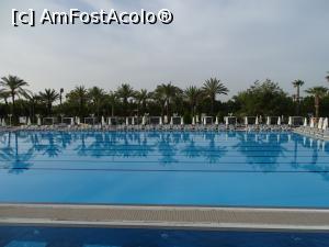 [P30] Delphin Be Grand » foto by Cris
 - 
<span class="allrVoted glyphicon glyphicon-heart hidden" id="av851547"></span>
<a class="m-l-10 hidden" id="sv851547" onclick="voting_Foto_DelVot(,851547,175)" role="button">șterge vot <span class="glyphicon glyphicon-remove"></span></a>
<a id="v9851547" class=" c-red"  onclick="voting_Foto_SetVot(851547)" role="button"><span class="glyphicon glyphicon-heart-empty"></span> <b>LIKE</b> = Votează poza</a> <img class="hidden"  id="f851547W9" src="/imagini/loader.gif" border="0" /><span class="AjErrMes hidden" id="e851547ErM"></span>