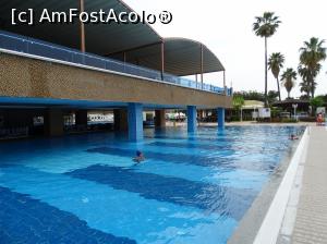 [P40] Delphin Be Grand - piscina încălzită » foto by Cris
 - 
<span class="allrVoted glyphicon glyphicon-heart hidden" id="av851557"></span>
<a class="m-l-10 hidden" id="sv851557" onclick="voting_Foto_DelVot(,851557,175)" role="button">șterge vot <span class="glyphicon glyphicon-remove"></span></a>
<a id="v9851557" class=" c-red"  onclick="voting_Foto_SetVot(851557)" role="button"><span class="glyphicon glyphicon-heart-empty"></span> <b>LIKE</b> = Votează poza</a> <img class="hidden"  id="f851557W9" src="/imagini/loader.gif" border="0" /><span class="AjErrMes hidden" id="e851557ErM"></span>