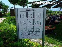 [P01]  -- <small>// FĂRĂ DESCRIERE</small> » foto by iclaudiaisabela*
 - 
<span class="allrVoted glyphicon glyphicon-heart hidden" id="av51984"></span>
<a class="m-l-10 hidden" id="sv51984" onclick="voting_Foto_DelVot(,51984,176)" role="button">șterge vot <span class="glyphicon glyphicon-remove"></span></a>
<a id="v951984" class=" c-red"  onclick="voting_Foto_SetVot(51984)" role="button"><span class="glyphicon glyphicon-heart-empty"></span> <b>LIKE</b> = Votează poza</a> <img class="hidden"  id="f51984W9" src="/imagini/loader.gif" border="0" /><span class="AjErrMes hidden" id="e51984ErM"></span>