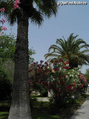 [P06] plante cu mărinimie » foto by barbu minel
 - 
<span class="allrVoted glyphicon glyphicon-heart hidden" id="av567390"></span>
<a class="m-l-10 hidden" id="sv567390" onclick="voting_Foto_DelVot(,567390,181)" role="button">șterge vot <span class="glyphicon glyphicon-remove"></span></a>
<a id="v9567390" class=" c-red"  onclick="voting_Foto_SetVot(567390)" role="button"><span class="glyphicon glyphicon-heart-empty"></span> <b>LIKE</b> = Votează poza</a> <img class="hidden"  id="f567390W9" src="/imagini/loader.gif" border="0" /><span class="AjErrMes hidden" id="e567390ErM"></span>