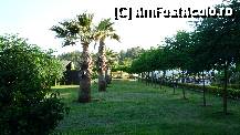[P20]  -- <small>// FĂRĂ DESCRIERE</small> » foto by argus
 - 
<span class="allrVoted glyphicon glyphicon-heart hidden" id="av9369"></span>
<a class="m-l-10 hidden" id="sv9369" onclick="voting_Foto_DelVot(,9369,184)" role="button">șterge vot <span class="glyphicon glyphicon-remove"></span></a>
<a id="v99369" class=" c-red"  onclick="voting_Foto_SetVot(9369)" role="button"><span class="glyphicon glyphicon-heart-empty"></span> <b>LIKE</b> = Votează poza</a> <img class="hidden"  id="f9369W9" src="/imagini/loader.gif" border="0" /><span class="AjErrMes hidden" id="e9369ErM"></span>