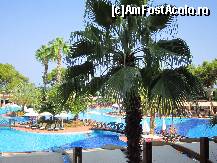 [P37] piscina din alt unghi » foto by elenaadina
 - 
<span class="allrVoted glyphicon glyphicon-heart hidden" id="av467264"></span>
<a class="m-l-10 hidden" id="sv467264" onclick="voting_Foto_DelVot(,467264,187)" role="button">șterge vot <span class="glyphicon glyphicon-remove"></span></a>
<a id="v9467264" class=" c-red"  onclick="voting_Foto_SetVot(467264)" role="button"><span class="glyphicon glyphicon-heart-empty"></span> <b>LIKE</b> = Votează poza</a> <img class="hidden"  id="f467264W9" src="/imagini/loader.gif" border="0" /><span class="AjErrMes hidden" id="e467264ErM"></span>