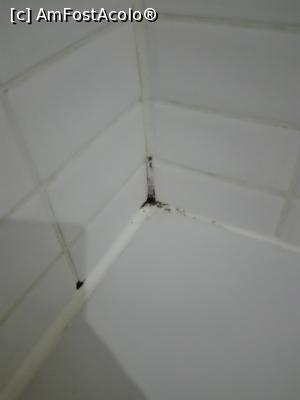 [P15] si iar mucegai cada. Aceeasi cada... sanatos nu?  » foto by ⭐ValentinB_88⭐ <span class="label label-default labelC_thin small">NEVOTABILĂ</span>