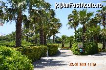 [P13] Parcul hotelului » foto by bamseif
 - 
<span class="allrVoted glyphicon glyphicon-heart hidden" id="av427126"></span>
<a class="m-l-10 hidden" id="sv427126" onclick="voting_Foto_DelVot(,427126,202)" role="button">șterge vot <span class="glyphicon glyphicon-remove"></span></a>
<a id="v9427126" class=" c-red"  onclick="voting_Foto_SetVot(427126)" role="button"><span class="glyphicon glyphicon-heart-empty"></span> <b>LIKE</b> = Votează poza</a> <img class="hidden"  id="f427126W9" src="/imagini/loader.gif" border="0" /><span class="AjErrMes hidden" id="e427126ErM"></span>