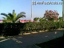 [P02] mica faleza care desparte hotelul de plaja proprie » foto by nicole33
 - 
<span class="allrVoted glyphicon glyphicon-heart hidden" id="av192280"></span>
<a class="m-l-10 hidden" id="sv192280" onclick="voting_Foto_DelVot(,192280,211)" role="button">șterge vot <span class="glyphicon glyphicon-remove"></span></a>
<a id="v9192280" class=" c-red"  onclick="voting_Foto_SetVot(192280)" role="button"><span class="glyphicon glyphicon-heart-empty"></span> <b>LIKE</b> = Votează poza</a> <img class="hidden"  id="f192280W9" src="/imagini/loader.gif" border="0" /><span class="AjErrMes hidden" id="e192280ErM"></span>