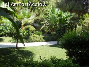 [P01] alee în resort » foto by cris1971
 - 
<span class="allrVoted glyphicon glyphicon-heart hidden" id="av1245083"></span>
<a class="m-l-10 hidden" id="sv1245083" onclick="voting_Foto_DelVot(,1245083,212)" role="button">șterge vot <span class="glyphicon glyphicon-remove"></span></a>
<a id="v91245083" class=" c-red"  onclick="voting_Foto_SetVot(1245083)" role="button"><span class="glyphicon glyphicon-heart-empty"></span> <b>LIKE</b> = Votează poza</a> <img class="hidden"  id="f1245083W9" src="/imagini/loader.gif" border="0" /><span class="AjErrMes hidden" id="e1245083ErM"></span>