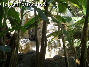 [P14] intrarea in tunel- de o parte şi de alta erau aceste cascade » foto by cris1971
 - 
<span class="allrVoted glyphicon glyphicon-heart hidden" id="av1245096"></span>
<a class="m-l-10 hidden" id="sv1245096" onclick="voting_Foto_DelVot(,1245096,212)" role="button">șterge vot <span class="glyphicon glyphicon-remove"></span></a>
<a id="v91245096" class=" c-red"  onclick="voting_Foto_SetVot(1245096)" role="button"><span class="glyphicon glyphicon-heart-empty"></span> <b>LIKE</b> = Votează poza</a> <img class="hidden"  id="f1245096W9" src="/imagini/loader.gif" border="0" /><span class="AjErrMes hidden" id="e1245096ErM"></span>