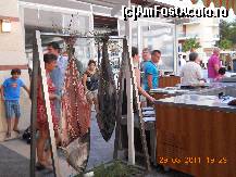 [P12] Aceşti peşti se preparau la grătar pe terasă » foto by src 44
 - 
<span class="allrVoted glyphicon glyphicon-heart hidden" id="av252374"></span>
<a class="m-l-10 hidden" id="sv252374" onclick="voting_Foto_DelVot(,252374,215)" role="button">șterge vot <span class="glyphicon glyphicon-remove"></span></a>
<a id="v9252374" class=" c-red"  onclick="voting_Foto_SetVot(252374)" role="button"><span class="glyphicon glyphicon-heart-empty"></span> <b>LIKE</b> = Votează poza</a> <img class="hidden"  id="f252374W9" src="/imagini/loader.gif" border="0" /><span class="AjErrMes hidden" id="e252374ErM"></span>