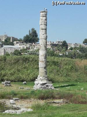 [P12] Templul (ce a ramas) Zeitei Artemis » foto by big_profesor
 - 
<span class="allrVoted glyphicon glyphicon-heart hidden" id="av530688"></span>
<a class="m-l-10 hidden" id="sv530688" onclick="voting_Foto_DelVot(,530688,215)" role="button">șterge vot <span class="glyphicon glyphicon-remove"></span></a>
<a id="v9530688" class=" c-red"  onclick="voting_Foto_SetVot(530688)" role="button"><span class="glyphicon glyphicon-heart-empty"></span> <b>LIKE</b> = Votează poza</a> <img class="hidden"  id="f530688W9" src="/imagini/loader.gif" border="0" /><span class="AjErrMes hidden" id="e530688ErM"></span>
