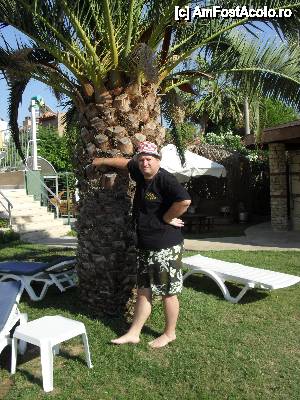 [P18] AFA în grădina hotelului Ephesia la umbra unui palmier.  » foto by velker tiberiu
 - 
<span class="allrVoted glyphicon glyphicon-heart hidden" id="av422135"></span>
<a class="m-l-10 hidden" id="sv422135" onclick="voting_Foto_DelVot(,422135,217)" role="button">șterge vot <span class="glyphicon glyphicon-remove"></span></a>
<a id="v9422135" class=" c-red"  onclick="voting_Foto_SetVot(422135)" role="button"><span class="glyphicon glyphicon-heart-empty"></span> <b>LIKE</b> = Votează poza</a> <img class="hidden"  id="f422135W9" src="/imagini/loader.gif" border="0" /><span class="AjErrMes hidden" id="e422135ErM"></span>