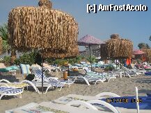 [P12] plaja  » foto by maria12*
 - 
<span class="allrVoted glyphicon glyphicon-heart hidden" id="av1949"></span>
<a class="m-l-10 hidden" id="sv1949" onclick="voting_Foto_DelVot(,1949,218)" role="button">șterge vot <span class="glyphicon glyphicon-remove"></span></a>
<a id="v91949" class=" c-red"  onclick="voting_Foto_SetVot(1949)" role="button"><span class="glyphicon glyphicon-heart-empty"></span> <b>LIKE</b> = Votează poza</a> <img class="hidden"  id="f1949W9" src="/imagini/loader.gif" border="0" /><span class="AjErrMes hidden" id="e1949ErM"></span>