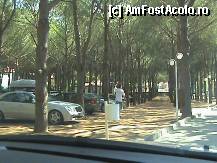 [P17] In parcare, masinile stau la umbra » foto by gmarinescu
 - 
<span class="allrVoted glyphicon glyphicon-heart hidden" id="av282469"></span>
<a class="m-l-10 hidden" id="sv282469" onclick="voting_Foto_DelVot(,282469,219)" role="button">șterge vot <span class="glyphicon glyphicon-remove"></span></a>
<a id="v9282469" class=" c-red"  onclick="voting_Foto_SetVot(282469)" role="button"><span class="glyphicon glyphicon-heart-empty"></span> <b>LIKE</b> = Votează poza</a> <img class="hidden"  id="f282469W9" src="/imagini/loader.gif" border="0" /><span class="AjErrMes hidden" id="e282469ErM"></span>