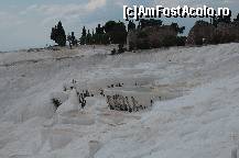 [P13] Ce trist arata marile terase de la Pamukkale atunci cand nu sunt inundate cu apa ! daca vreti sa vedeti poze adevarate cu aceste terase celebre, urmariti primul meu review de anul trecut. se pare ca le alimenteaza cu apa o data la doua zile... » foto by lv67x
 - 
<span class="allrVoted glyphicon glyphicon-heart hidden" id="av89898"></span>
<a class="m-l-10 hidden" id="sv89898" onclick="voting_Foto_DelVot(,89898,219)" role="button">șterge vot <span class="glyphicon glyphicon-remove"></span></a>
<a id="v989898" class=" c-red"  onclick="voting_Foto_SetVot(89898)" role="button"><span class="glyphicon glyphicon-heart-empty"></span> <b>LIKE</b> = Votează poza</a> <img class="hidden"  id="f89898W9" src="/imagini/loader.gif" border="0" /><span class="AjErrMes hidden" id="e89898ErM"></span>