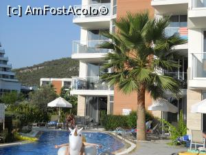 [P03] swim up » foto by cris1971
 - 
<span class="allrVoted glyphicon glyphicon-heart hidden" id="av1028306"></span>
<a class="m-l-10 hidden" id="sv1028306" onclick="voting_Foto_DelVot(,1028306,226)" role="button">șterge vot <span class="glyphicon glyphicon-remove"></span></a>
<a id="v91028306" class=" c-red"  onclick="voting_Foto_SetVot(1028306)" role="button"><span class="glyphicon glyphicon-heart-empty"></span> <b>LIKE</b> = Votează poza</a> <img class="hidden"  id="f1028306W9" src="/imagini/loader.gif" border="0" /><span class="AjErrMes hidden" id="e1028306ErM"></span>