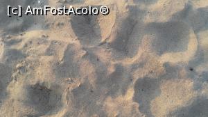 [P05]  -- <small>// FĂRĂ DESCRIERE</small> » foto by reghinaflo
 - 
<span class="allrVoted glyphicon glyphicon-heart hidden" id="av1006729"></span>
<a class="m-l-10 hidden" id="sv1006729" onclick="voting_Foto_DelVot(,1006729,226)" role="button">șterge vot <span class="glyphicon glyphicon-remove"></span></a>
<a id="v91006729" class=" c-red"  onclick="voting_Foto_SetVot(1006729)" role="button"><span class="glyphicon glyphicon-heart-empty"></span> <b>LIKE</b> = Votează poza</a> <img class="hidden"  id="f1006729W9" src="/imagini/loader.gif" border="0" /><span class="AjErrMes hidden" id="e1006729ErM"></span>