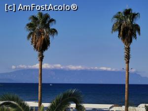 [P06]  -- <small>// FĂRĂ DESCRIERE</small> » foto by simona2012
 - 
<span class="allrVoted glyphicon glyphicon-heart hidden" id="av1120668"></span>
<a class="m-l-10 hidden" id="sv1120668" onclick="voting_Foto_DelVot(,1120668,226)" role="button">șterge vot <span class="glyphicon glyphicon-remove"></span></a>
<a id="v91120668" class=" c-red"  onclick="voting_Foto_SetVot(1120668)" role="button"><span class="glyphicon glyphicon-heart-empty"></span> <b>LIKE</b> = Votează poza</a> <img class="hidden"  id="f1120668W9" src="/imagini/loader.gif" border="0" /><span class="AjErrMes hidden" id="e1120668ErM"></span>